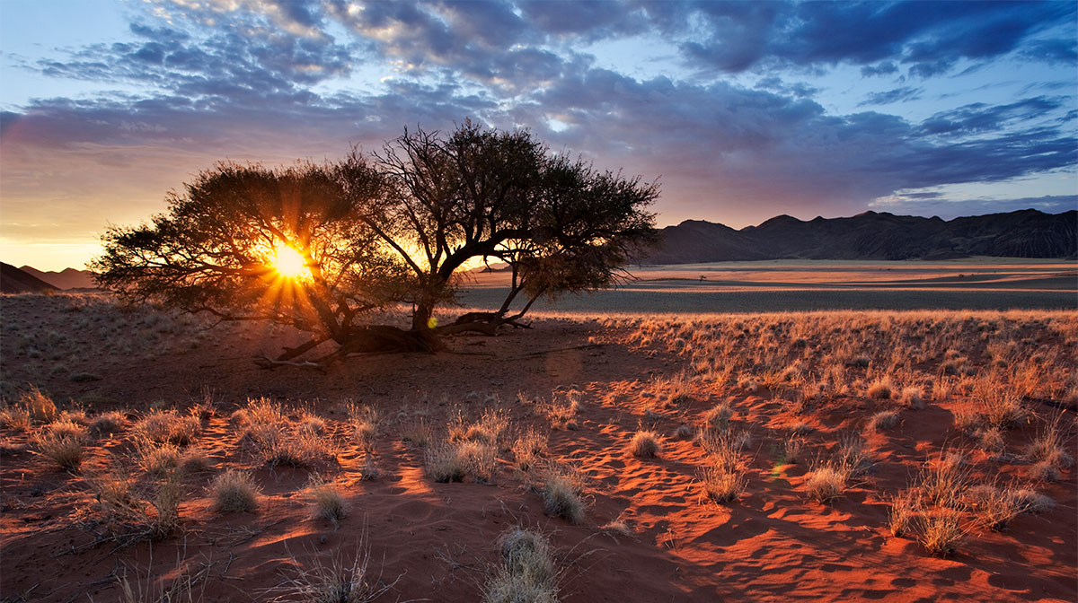 Auringonlasku aavikolla © Martin Harvey / WWF