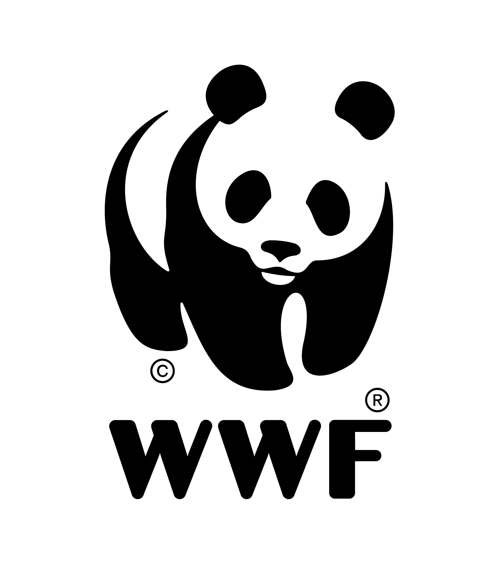 team-name-wwf-finland